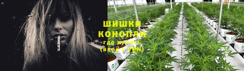 Канабис White Widow  Хотьково 